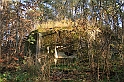 Rostoczek 11.2008 425